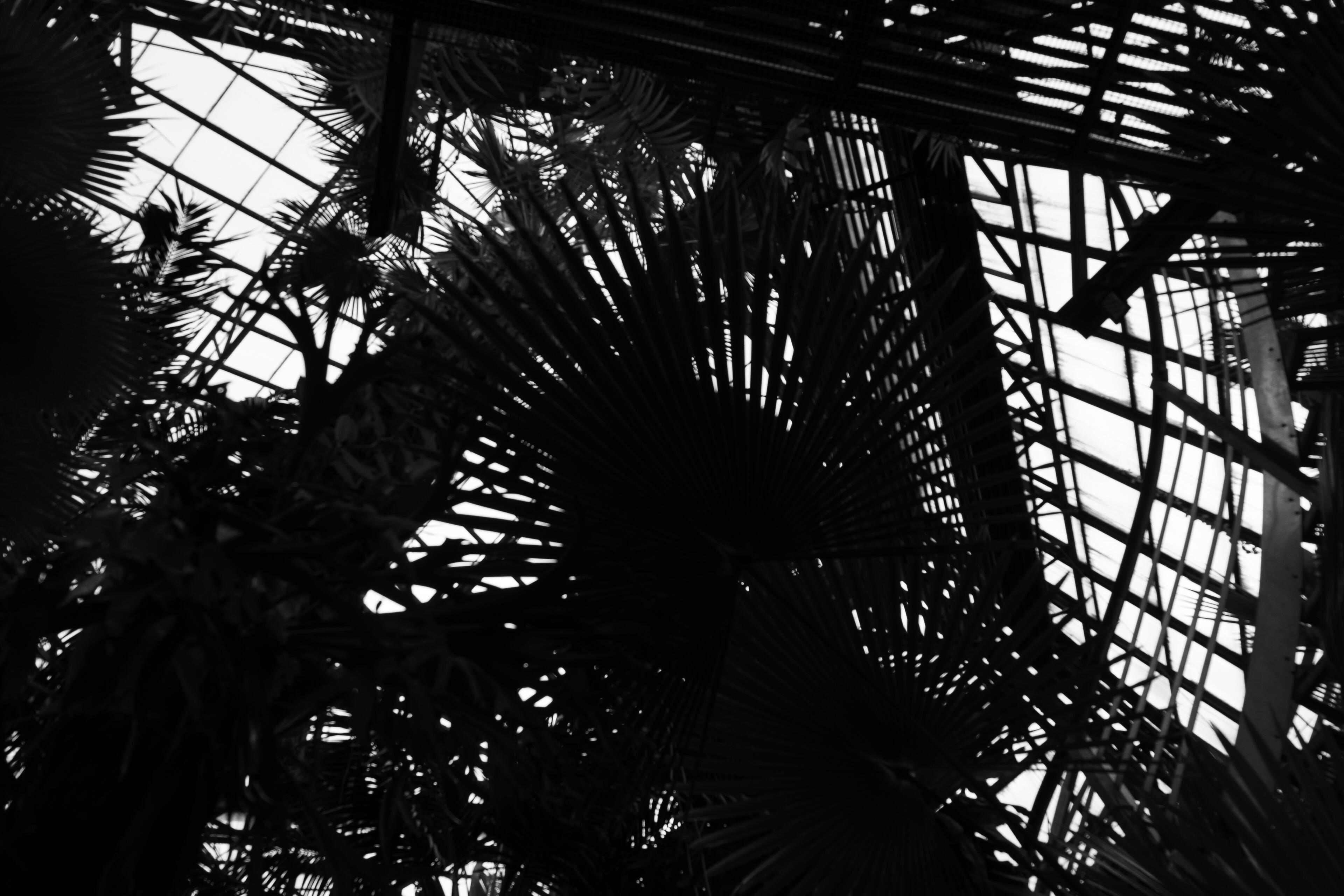 Photo03 Photo03